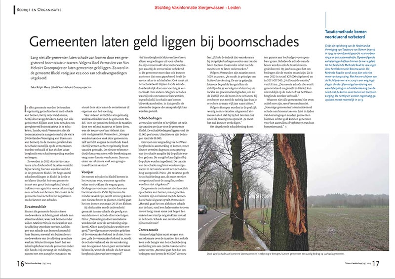 Gemeenten laten geld liggen bij boomschades