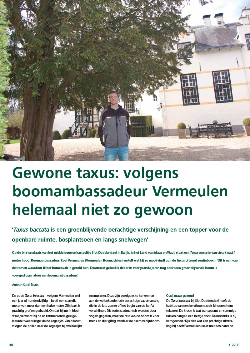 Gewone taxus: volgens Vermeulen niet zo gewoon