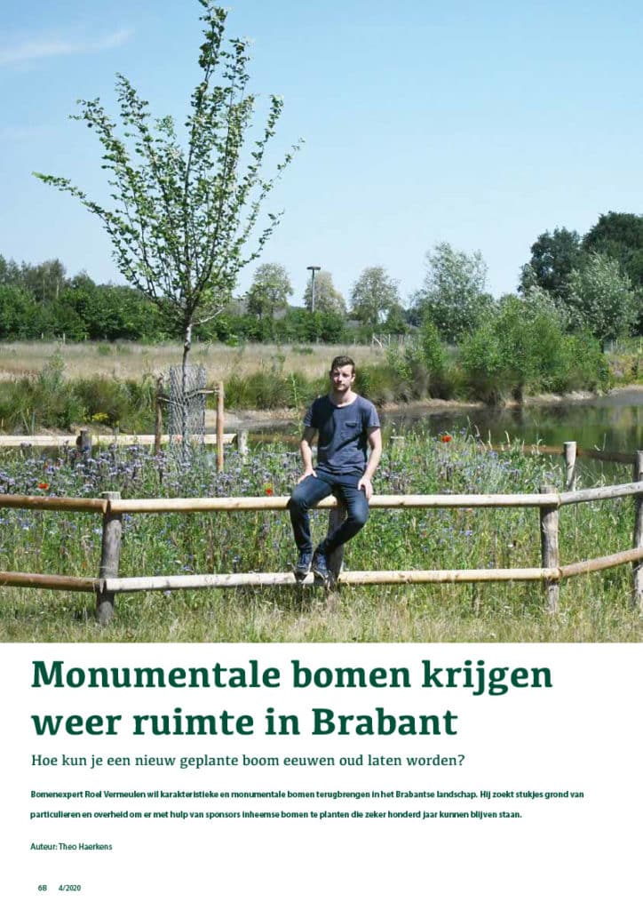 Monumentale bomen van de toekomst