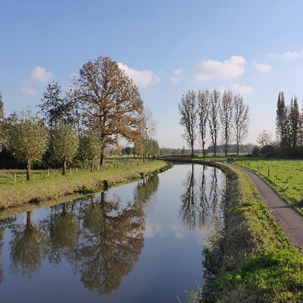 Bomen Effect Analyse Markdal