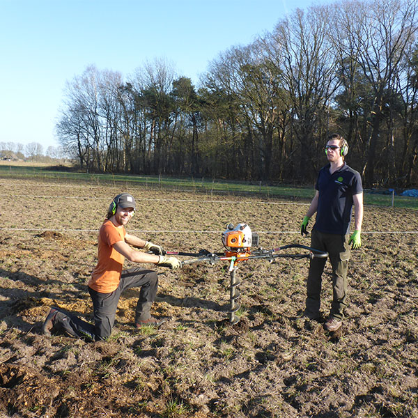 Proefveld planten bomen